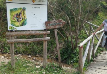 Trail Walking Galati Mamertino - Cascata del Catafurco - Photo