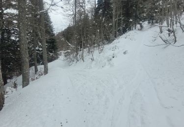 Randonnée Ski de randonnée Proveysieux - 140124 Mont Fromage - Photo