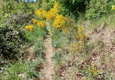 Tour Wandern Beauraing - FESCHAUX _ Marche Fédérale _ NA _ 14/05/2022 - Photo