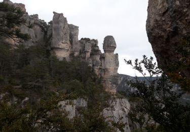 Randonnée Marche Saint-Pierre-des-Tripiers - Sentier des corniches de la JONTE - Photo