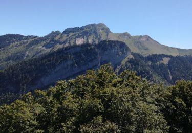 Percorso Marcia Faverges-Seythenex - POINTE DU VELAN - Photo