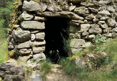 Tour Wandern Vernet-les-Bains - Pic de l’Alzina - Photo