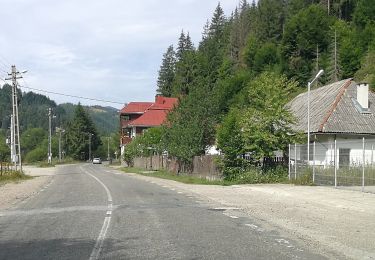 Tocht Te voet  - Circuitul Cheile Ordâncușii - Photo