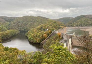 Randonnée Marche Schleiden -  Vogelzang -parc national de Eifel - Photo