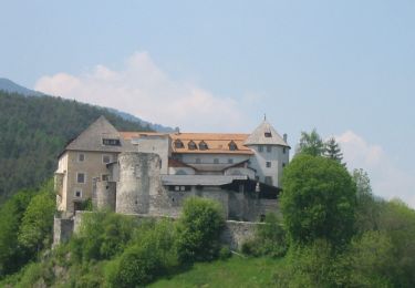 Percorso A piedi San Lorenzo di Sebato - Rundweg Klosterwald - Photo