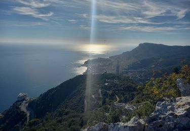 Randonnée Marche Roquebrune-Cap-Martin - Tour du Mont Gros 11.11.22 - Photo