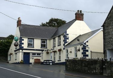 Tour Zu Fuß The Municipal District of Muinebeag - Knockmullgurry Slí na Sláinte - Photo