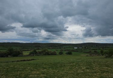 Trail Walking Couvin - A la découverte d'Aublain  - Photo