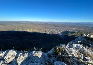 Trail Walking Mazaugues - Mourre d'Agnis  - Photo