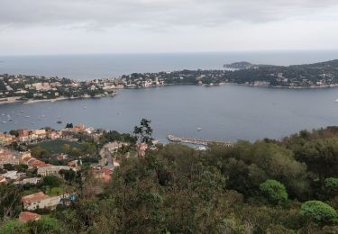 Trail Walking Nice - Nice Mont Boron, Mont Alban, cap de Nice - Photo
