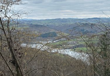 Trail sport Vézelin-sur-Loire - Pêt de l’âne 2025 - Photo