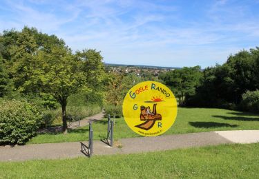 Trail Walking Dammartin-en-Goële - SM_Tour de Dammartin SM - Photo