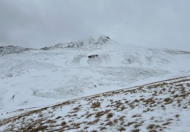 Randonnée Raquettes à neige Saint-Dalmas-le-Selvage - Col de l’Escuzier - Photo