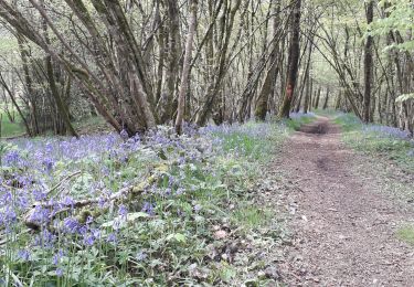 Tour Wandern Nouzonville - meillier fontaine  chemin bleu  les hutins - Photo