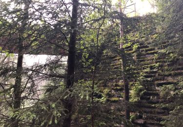 Tocht Te voet Lößnitz - Wanderweg Lößnitz - Grünhain - Photo