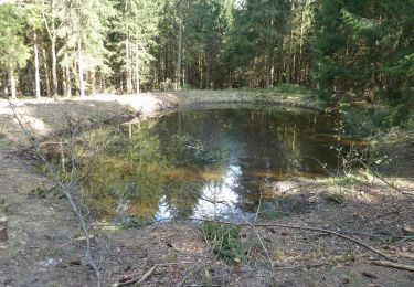 Tour Zu Fuß Gomadingen - Querweg Oberkochen-Spitziger Fels - Photo