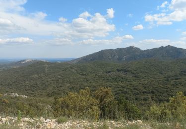 Tocht Stappen Eygalières - Eygalières Le Gros Calan - Photo