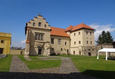 Randonnée A pied Polná - [Z] Polná místní, okruh - Photo