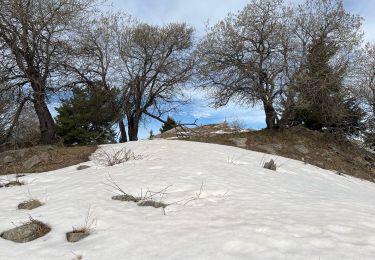 Tour Wandern Bairols - Pointe des 4 Cantons  - Photo