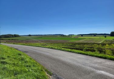 Trail Walking Hamois - Hamois 070923 - Photo
