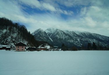 Trail On foot Bad Goisern am Hallstättersee - Ostuferwanderweg - Photo