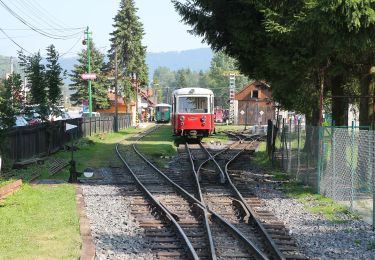 Tour Zu Fuß okres Brezno - Náučný chodník Čierny Balog - Hronec - Photo