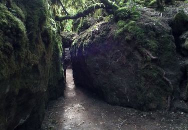 Tour Wandern Nant - Sce du D'ourson Léa Cabanelles - Photo