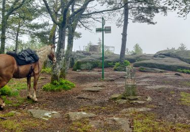 Tocht Paardrijden Mollkirch - 2019-05-19 Picnic CVA Maennelstein - Photo