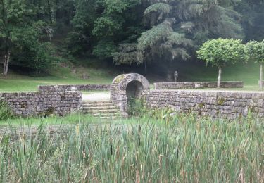 Randonnée Marche Clergoux - Sédières - Photo