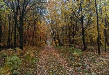 Tocht Noords wandelen Wormeldange - Etape 2 GR 5 - E2 - Photo