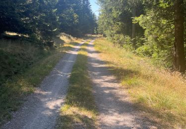 Tour Wandern Meyrueis - Bois de la Dauphine - Photo