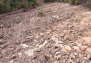Trail On foot Fréjus - z le Capitou 29-01-19 - Photo