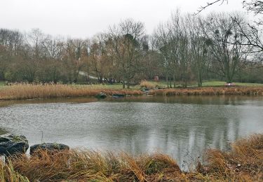 Tour Wandern Montmorency - GRP CV-IDF 2023 - Photo