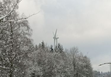Trail Walking Theux - premières neige 2025 à Bronrome  - Photo