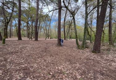 Randonnée sport Mérignac - Mérignac Parc du Château  - Photo