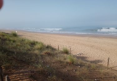 Tour Wandern Les Sables-d'Olonne - forêt D'olonne  - Photo