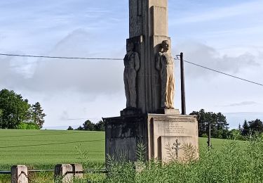 Tocht Stappen Laines-aux-Bois - Laines aux Bois - Photo