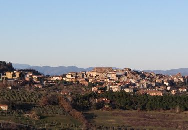 Tour Zu Fuß Chianciano Terme - Chianciano Terme - Riserva Naturale di Pietraporciana - Photo