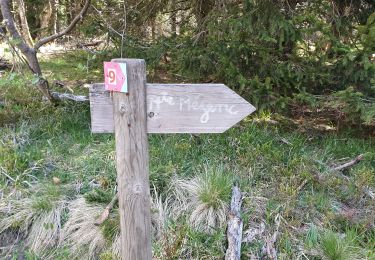 Randonnée Marche Borée - Le Mont Mezenc - Photo