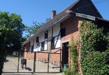 Excursión A pie Alken - Mombeekvallei Rode pijl (vanuit Alken) - Photo