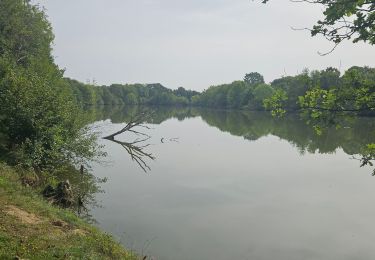 Tour Elektrofahrrad Hédé-Bazouges - Hédé à Rennes - Photo