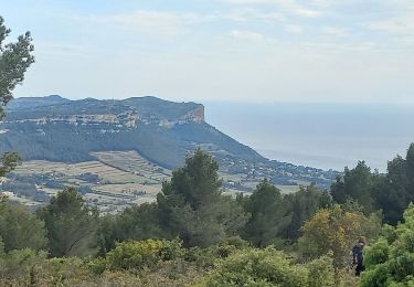 Randonnée Marche Cassis - Mont Gibaou - Photo