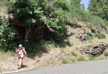 Randonnée Marche Mont Lozère et Goulet - le Bleymard  - Photo