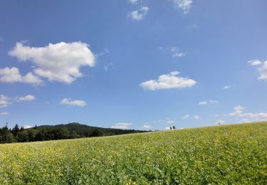 Trail On foot Tröstau - Rund um die Kösseine - Photo