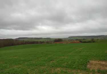 Trail Walking Meix-devant-Virton - Gite-de-gaume : Entre France et Belgique  - Photo