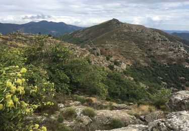 Tour Wandern Rosis - Andabre - Portail de Roquandouïre - Caissenols-le-Haut - Photo