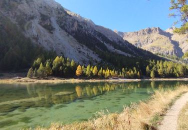 Tour Wandern Villar-Saint-Pancrace - crête de Vallouret - Photo