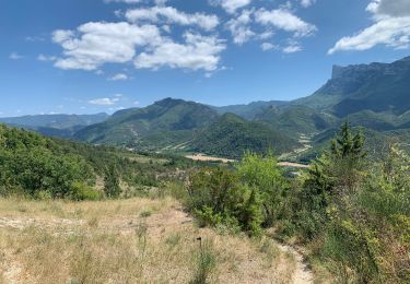 Tocht Stappen Saillans - Grande boucle au départ de Saillans - Photo