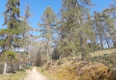 Trail Walking Trooz - autour de Prayon (si on m avait dit ...) - Photo
