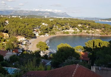 Tour Wandern La Seyne-sur-Mer - fabregas, batterie de peyras, la corniche - Photo